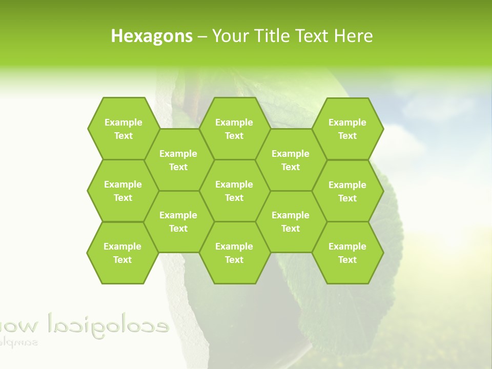 Li Ten Figure Corporation PowerPoint Template