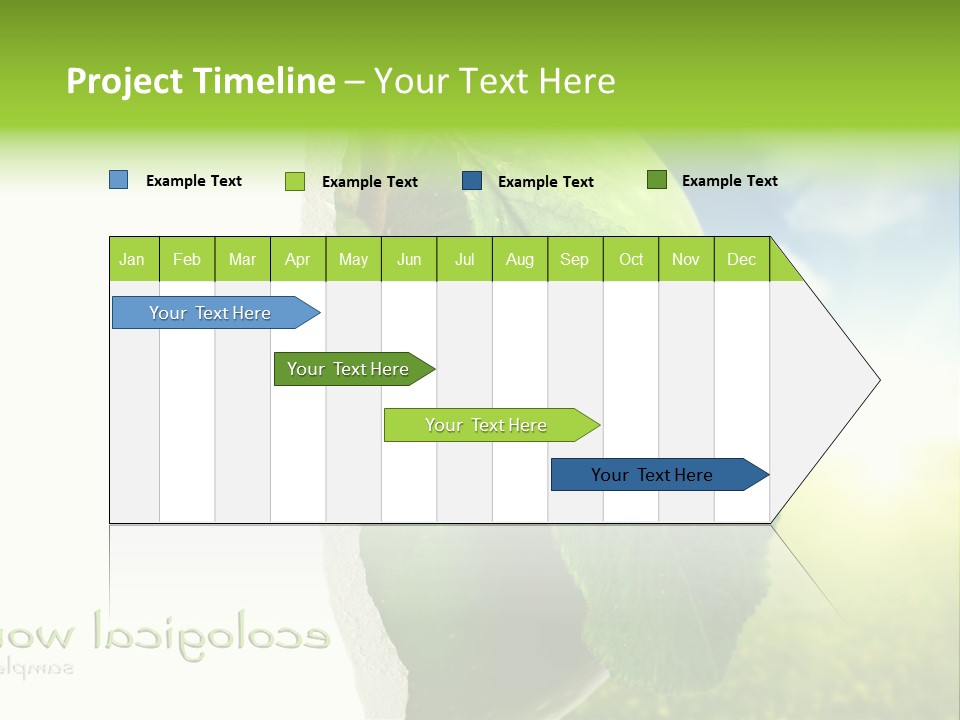 Li Ten Figure Corporation PowerPoint Template