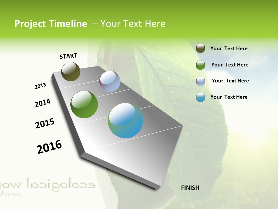 Li Ten Figure Corporation PowerPoint Template