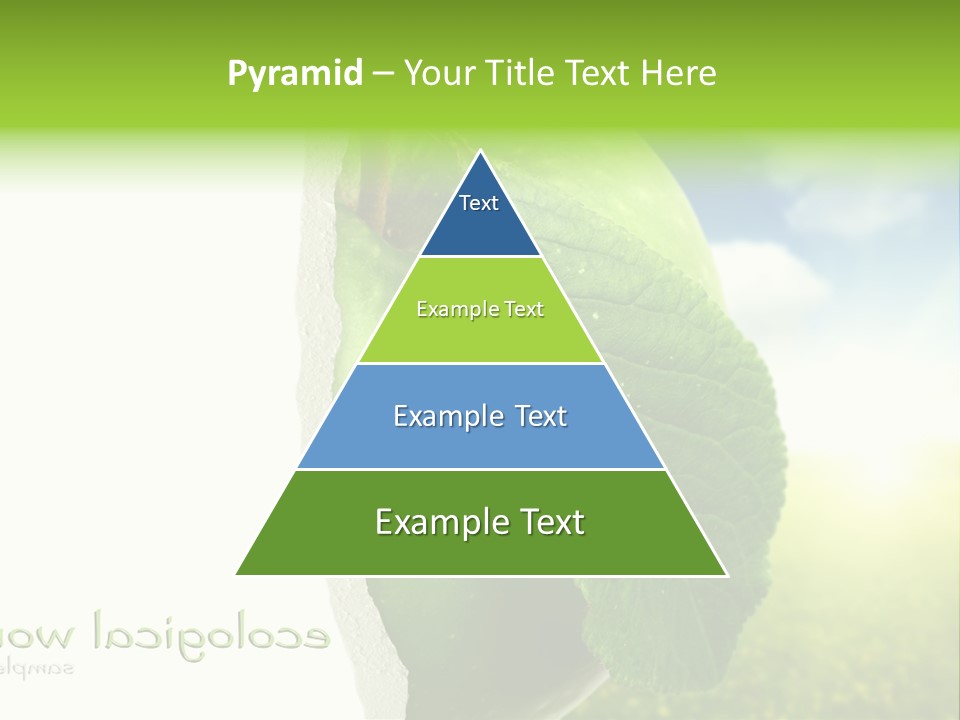 Li Ten Figure Corporation PowerPoint Template