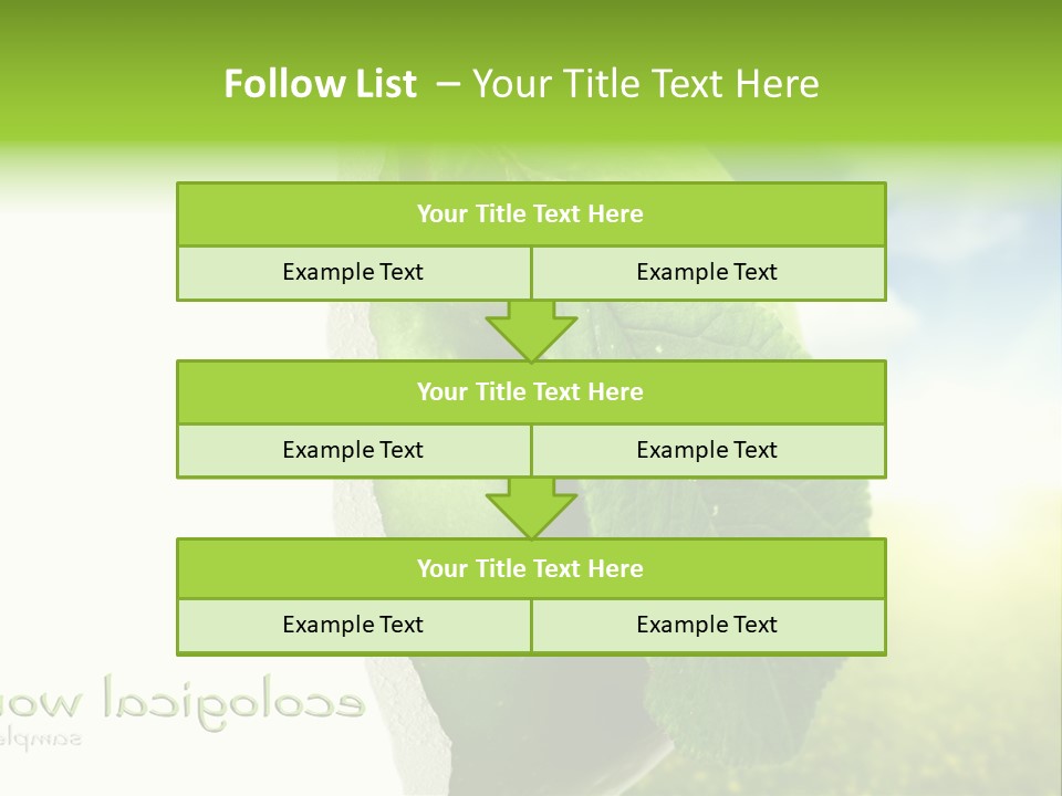 Li Ten Figure Corporation PowerPoint Template