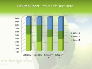 Li Ten Figure Corporation PowerPoint Template