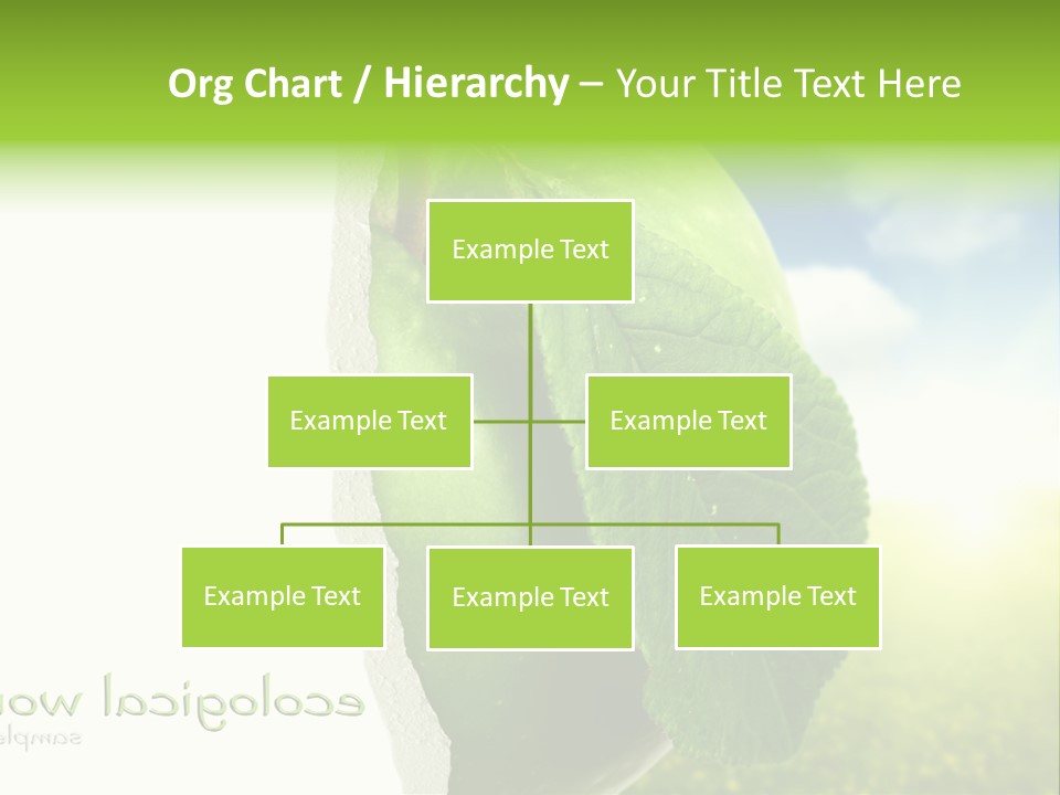 Li Ten Figure Corporation PowerPoint Template
