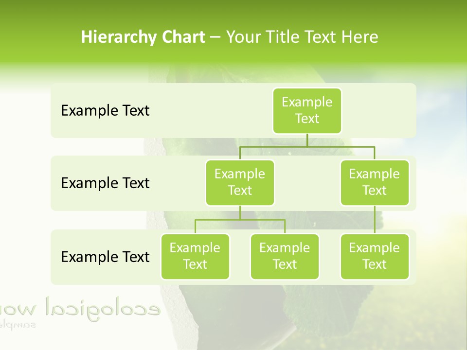 Li Ten Figure Corporation PowerPoint Template