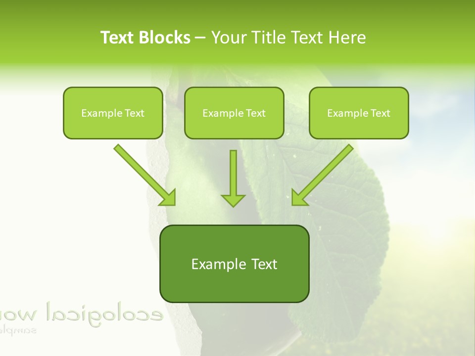 Li Ten Figure Corporation PowerPoint Template