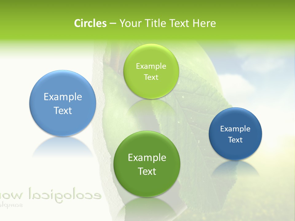 Li Ten Figure Corporation PowerPoint Template