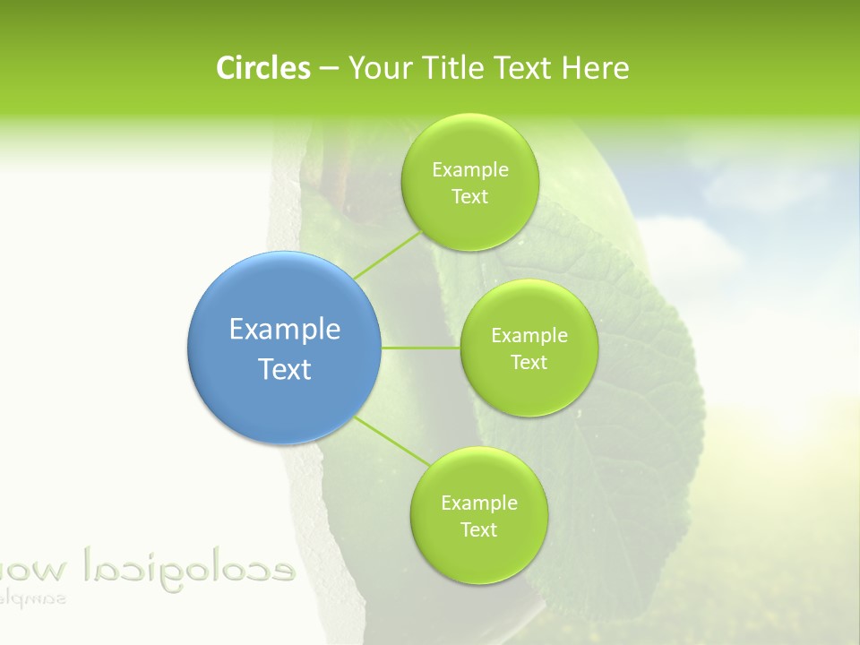 Li Ten Figure Corporation PowerPoint Template