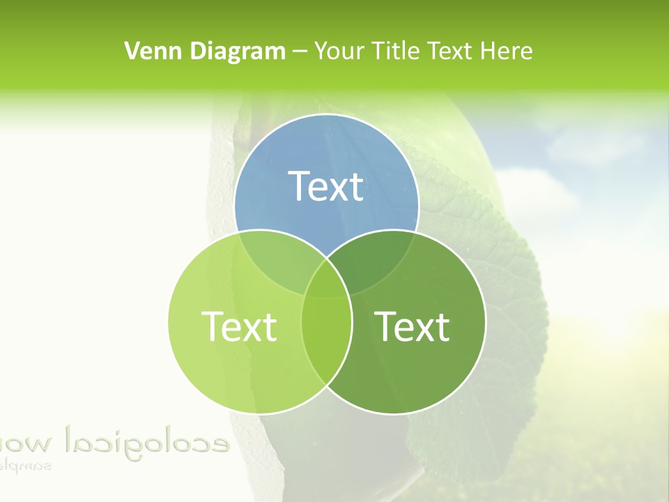 Li Ten Figure Corporation PowerPoint Template