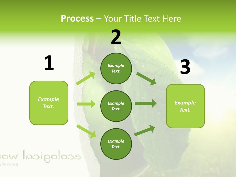 Li Ten Figure Corporation PowerPoint Template