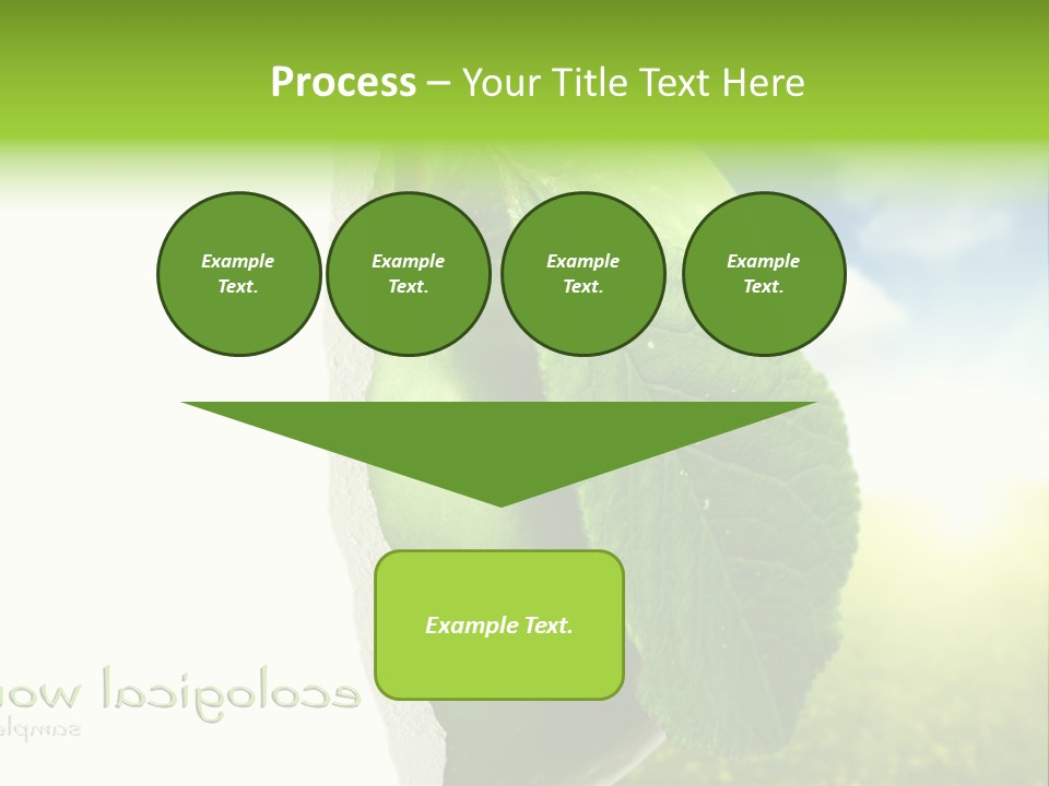 Li Ten Figure Corporation PowerPoint Template