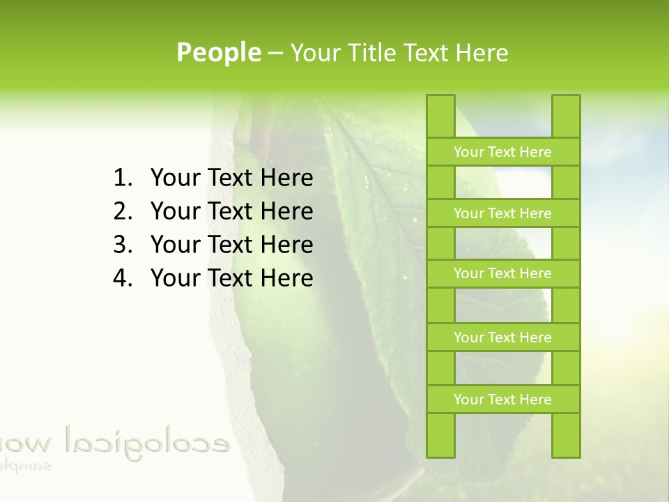 Li Ten Figure Corporation PowerPoint Template