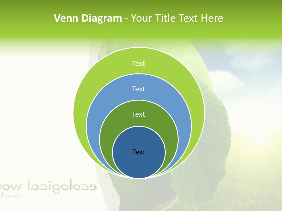 Li Ten Figure Corporation PowerPoint Template