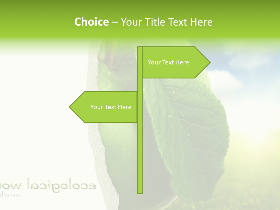 Li Ten Figure Corporation PowerPoint Template