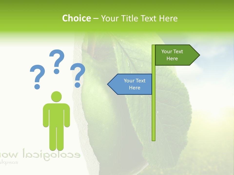 Li Ten Figure Corporation PowerPoint Template