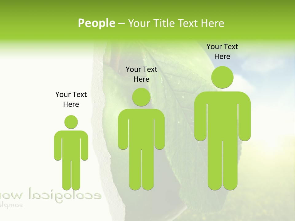 Li Ten Figure Corporation PowerPoint Template