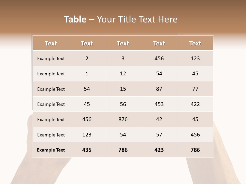 Portability Information Screen PowerPoint Template