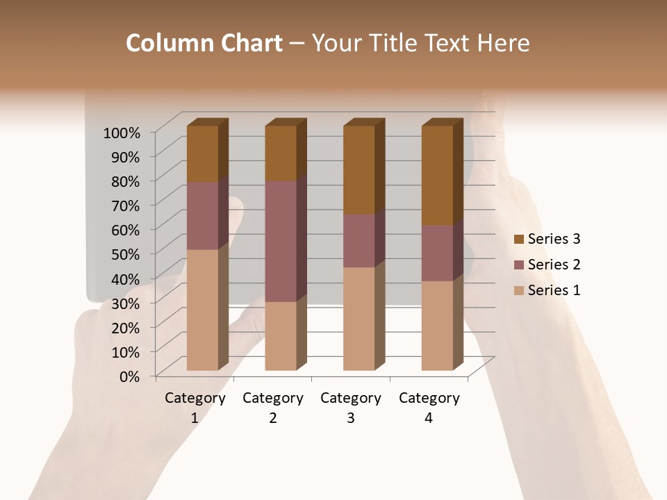 Portability Information Screen PowerPoint Template