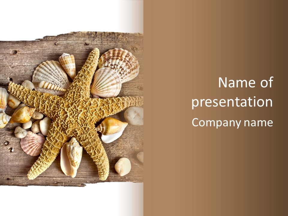 Starfish Wooden Design PowerPoint Template