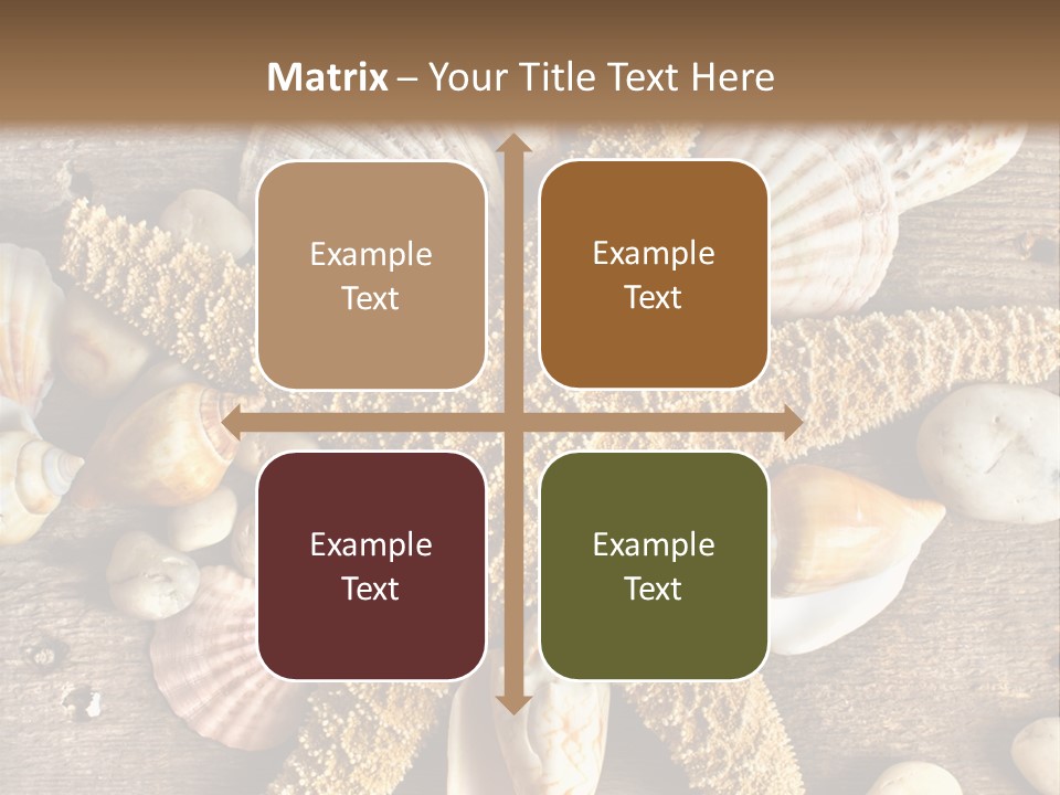 Starfish Wooden Design PowerPoint Template