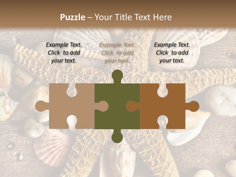 Starfish Wooden Design PowerPoint Template