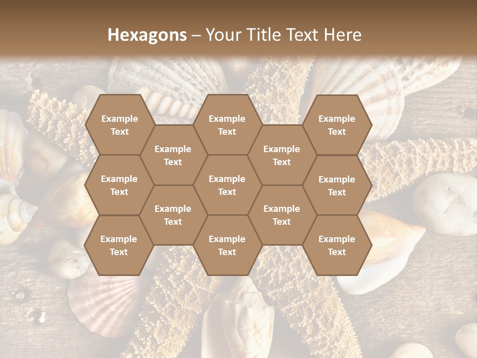 Starfish Wooden Design PowerPoint Template