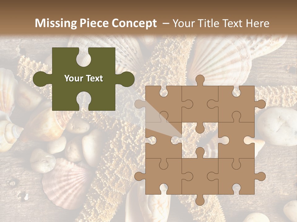 Starfish Wooden Design PowerPoint Template