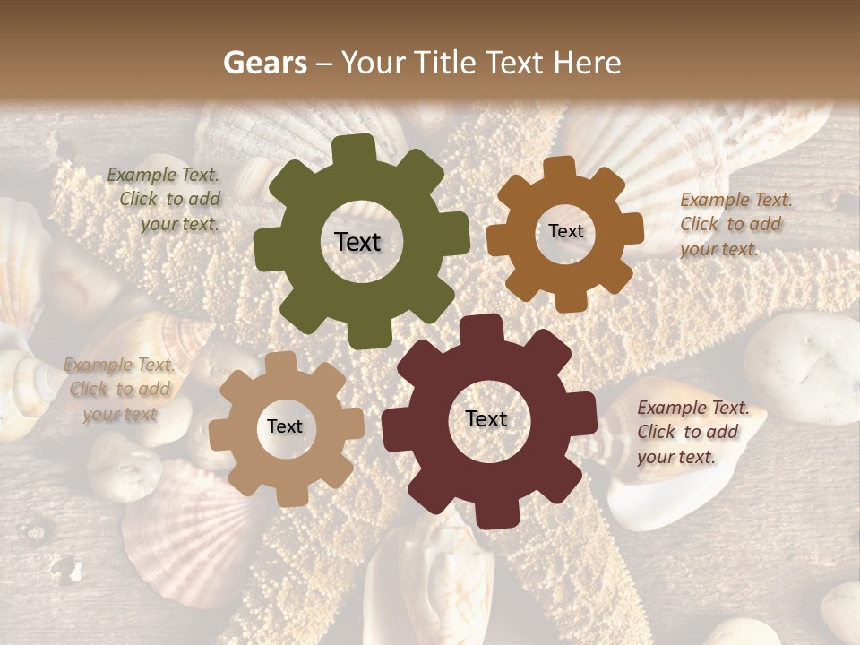 Starfish Wooden Design PowerPoint Template
