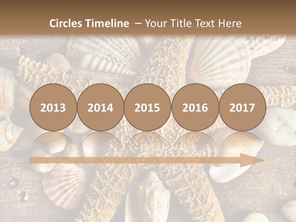 Starfish Wooden Design PowerPoint Template