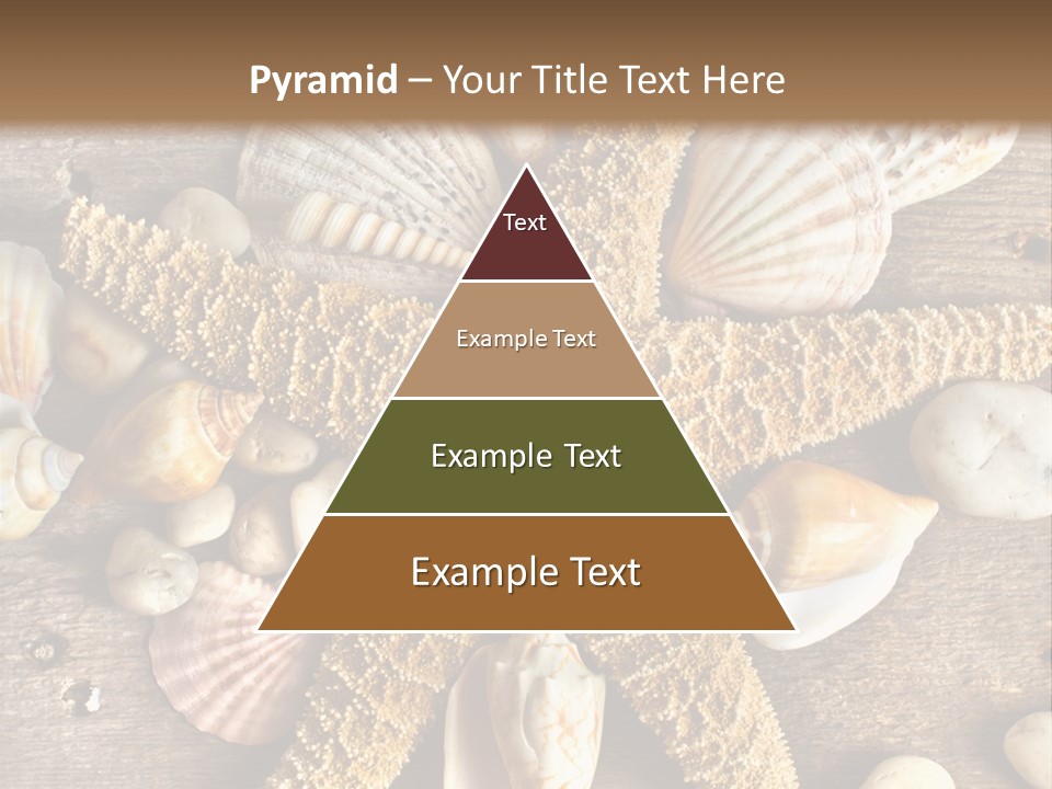 Starfish Wooden Design PowerPoint Template