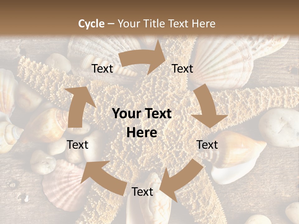 Starfish Wooden Design PowerPoint Template