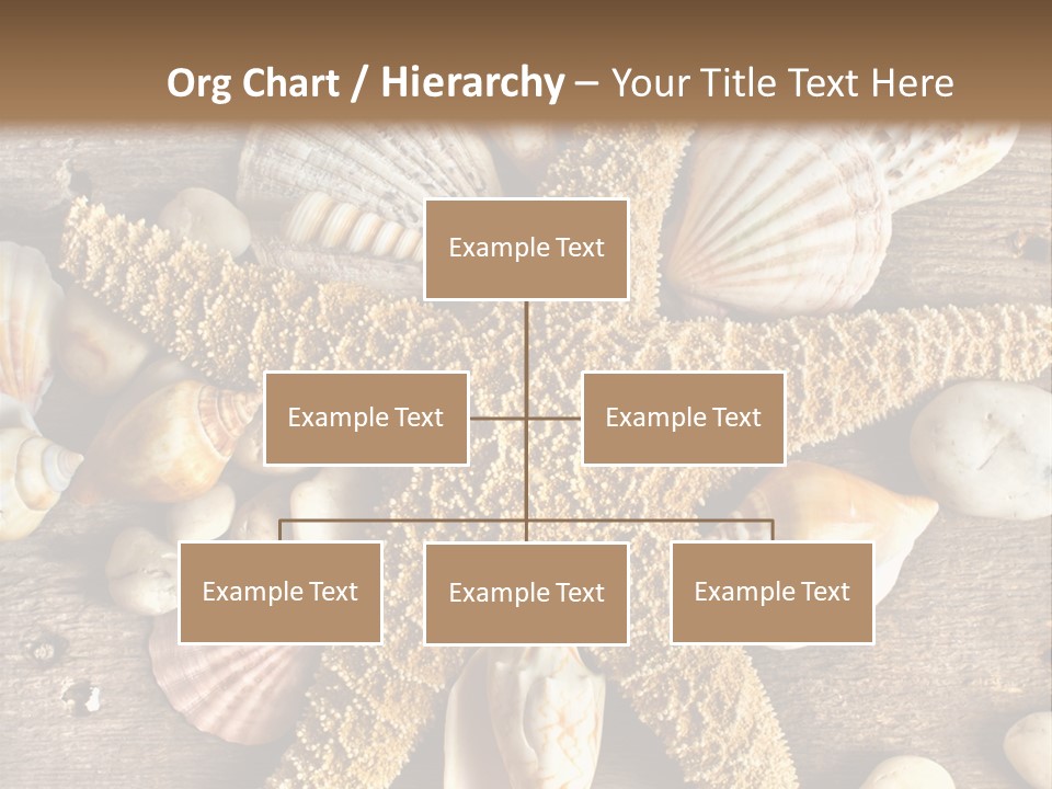 Starfish Wooden Design PowerPoint Template
