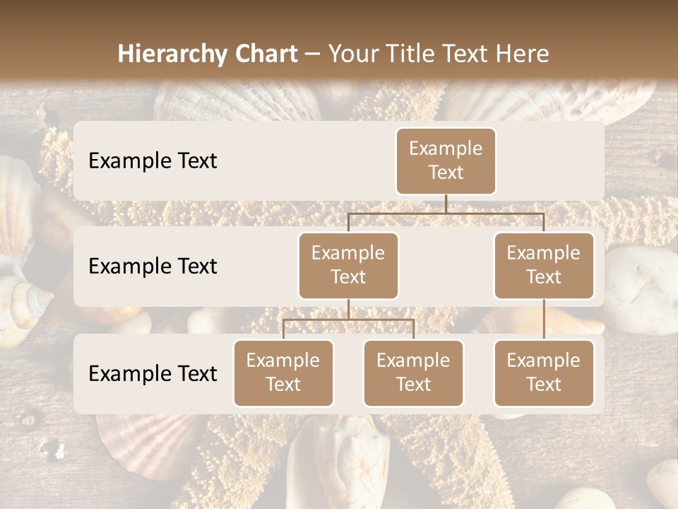 Starfish Wooden Design PowerPoint Template