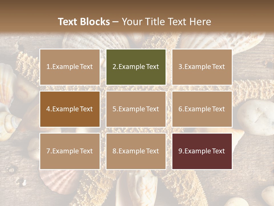 Starfish Wooden Design PowerPoint Template