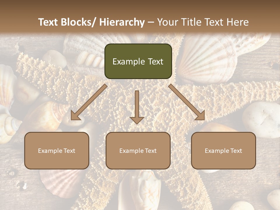 Starfish Wooden Design PowerPoint Template