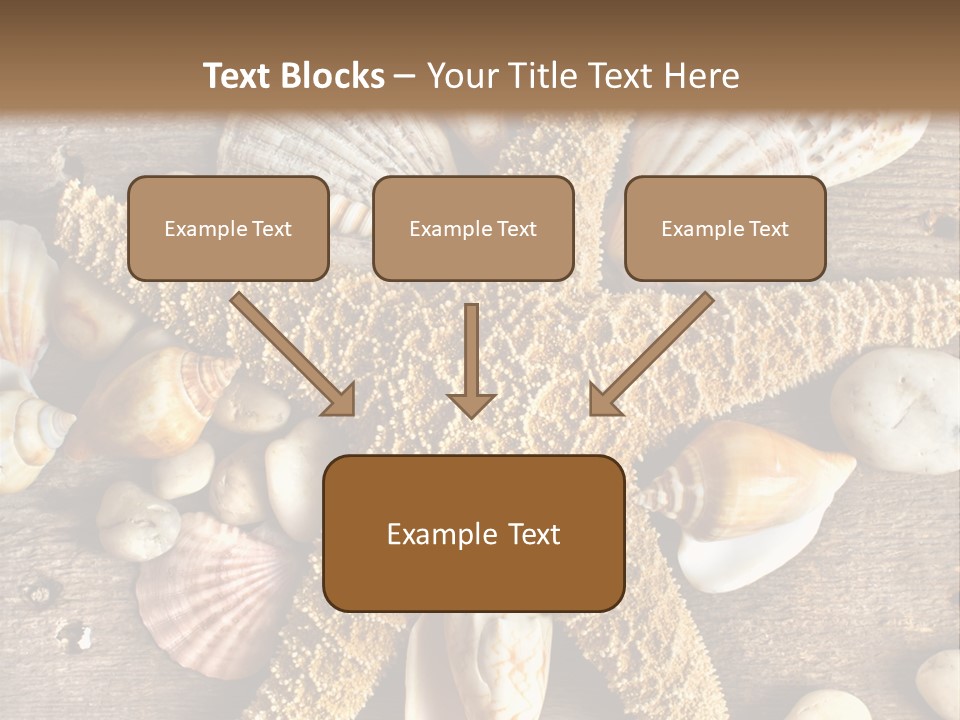 Starfish Wooden Design PowerPoint Template