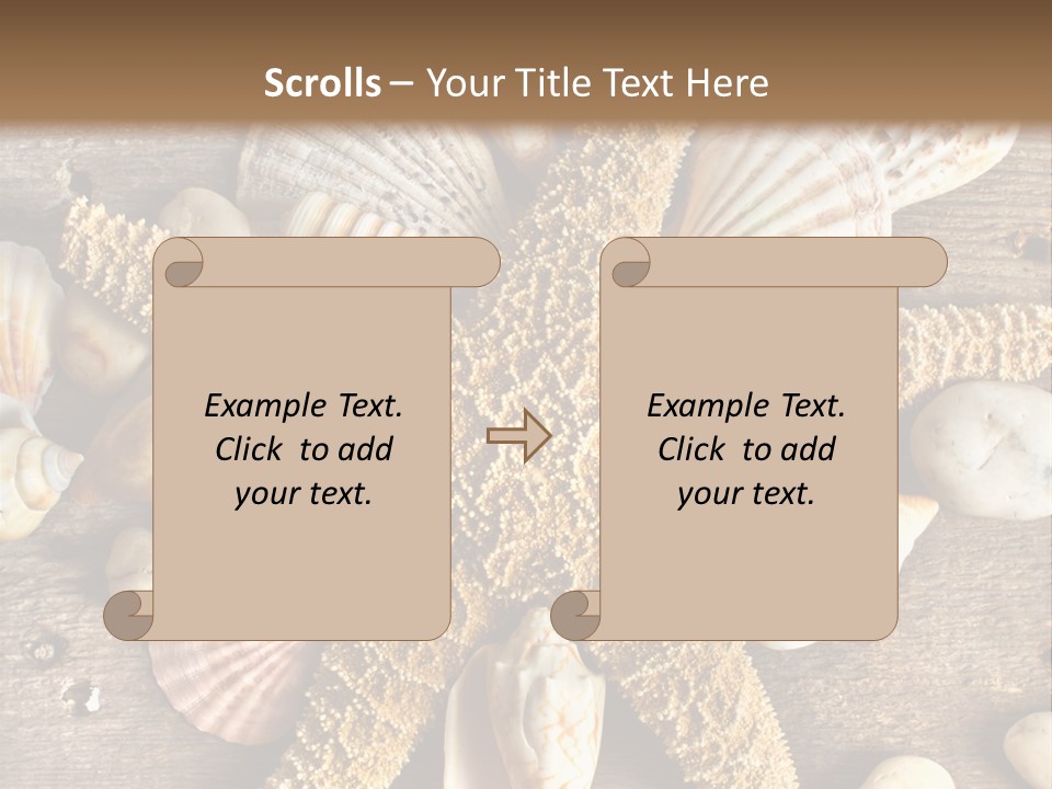 Starfish Wooden Design PowerPoint Template