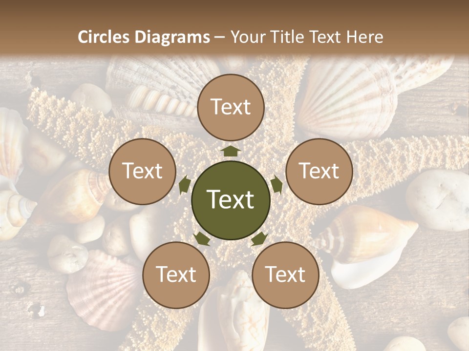 Starfish Wooden Design PowerPoint Template