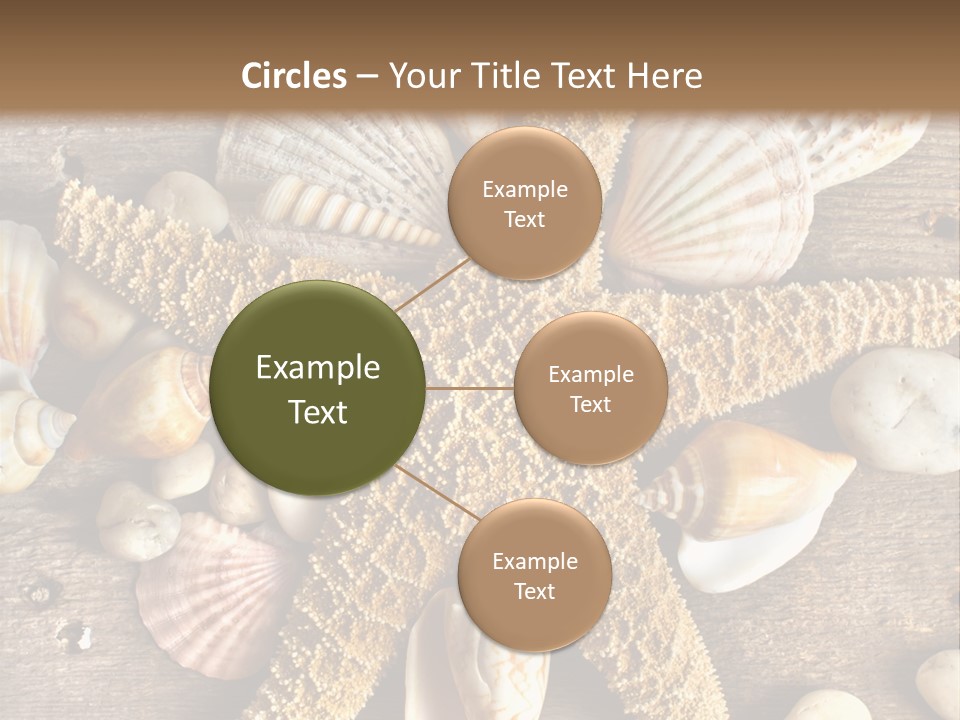 Starfish Wooden Design PowerPoint Template