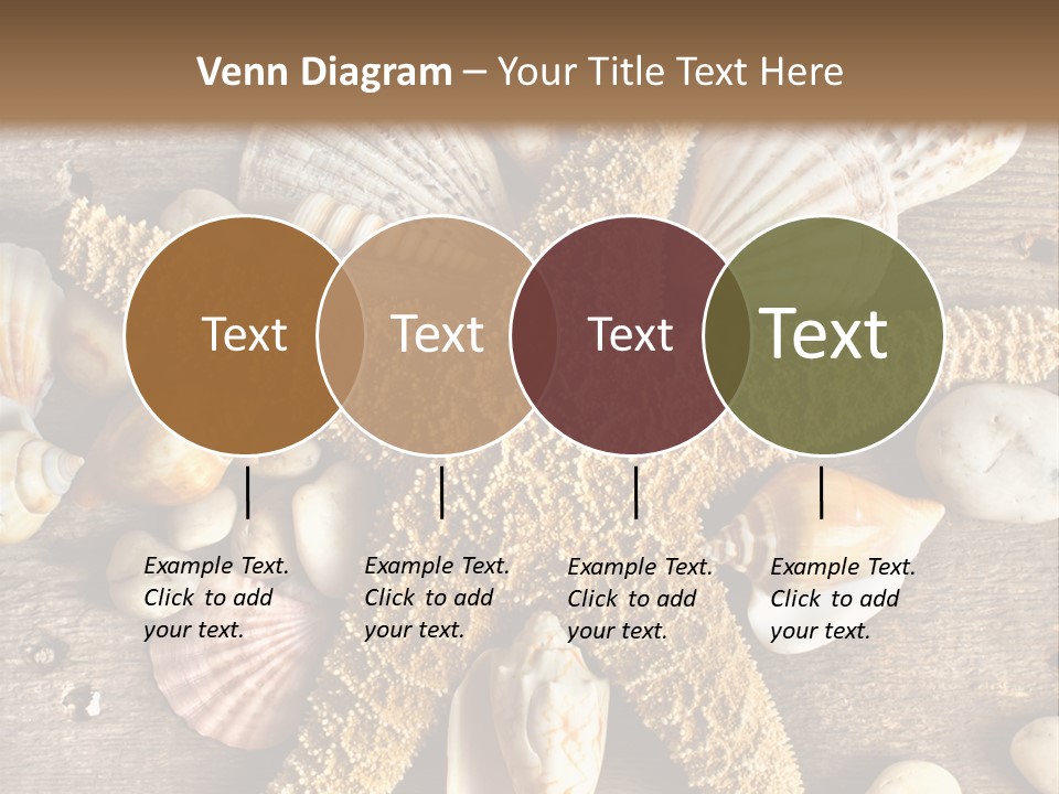 Starfish Wooden Design PowerPoint Template