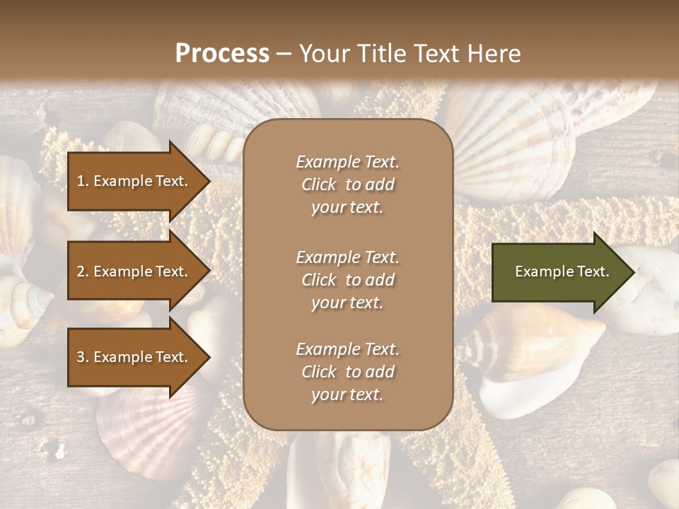 Starfish Wooden Design PowerPoint Template