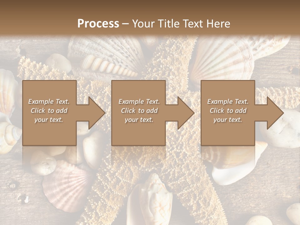 Starfish Wooden Design PowerPoint Template