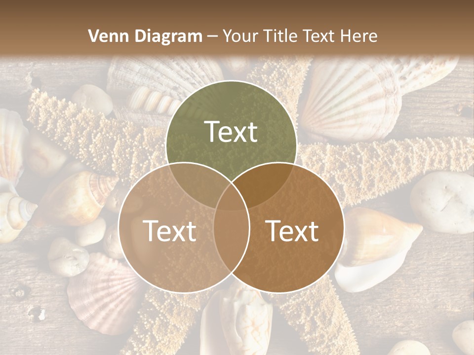 Starfish Wooden Design PowerPoint Template