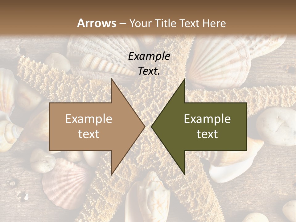 Starfish Wooden Design PowerPoint Template