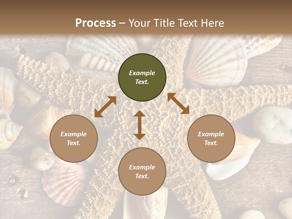 Starfish Wooden Design PowerPoint Template