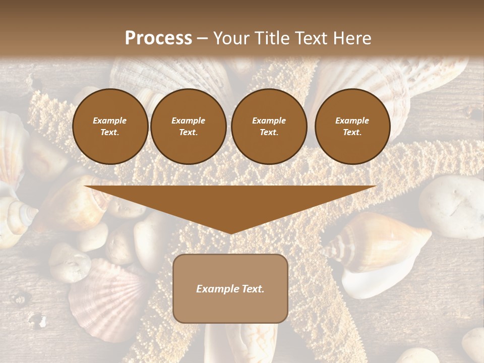 Starfish Wooden Design PowerPoint Template