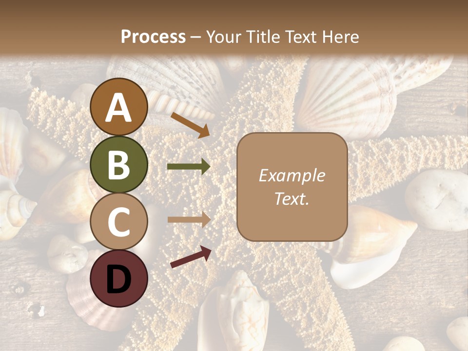 Starfish Wooden Design PowerPoint Template
