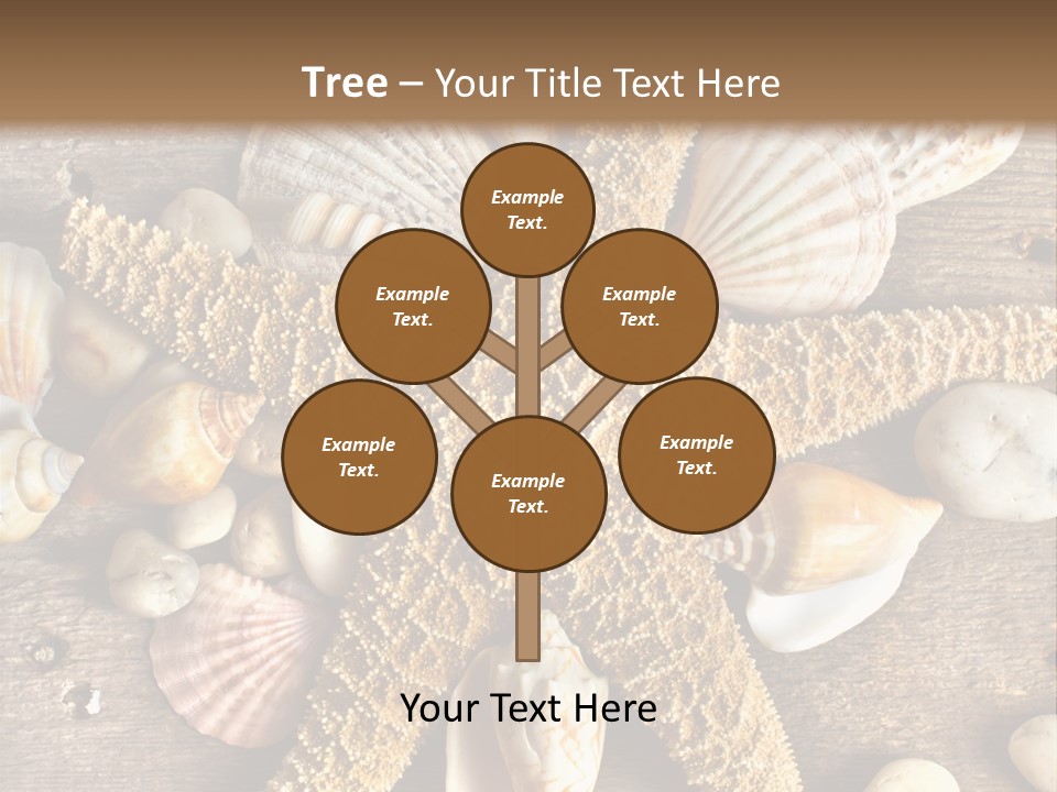 Starfish Wooden Design PowerPoint Template