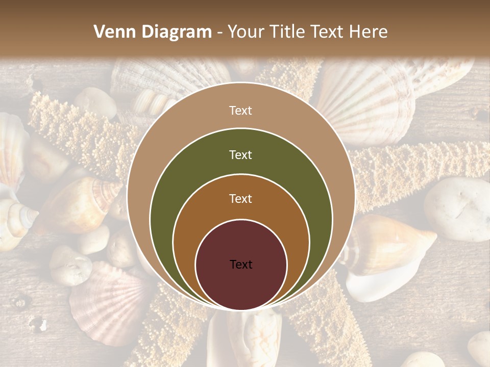 Starfish Wooden Design PowerPoint Template