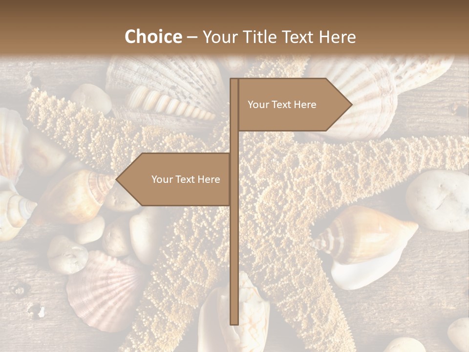 Starfish Wooden Design PowerPoint Template