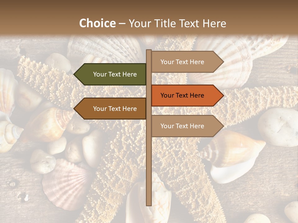 Starfish Wooden Design PowerPoint Template